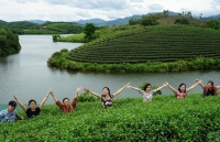 Nghệ An: Chuyển hướng kích cầu du lịch