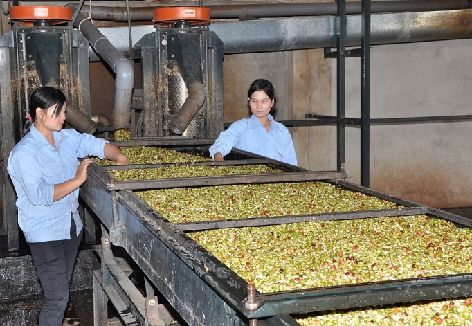 Quảng Trị: Trái ngọt sau 15 năm đồng hành quang tri trai ngot sau 15 nam dong hanh