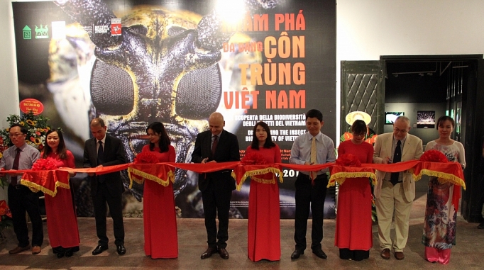 nhieu hoat dong trien lam huong ung ngay quoc te bao tang nam 2019