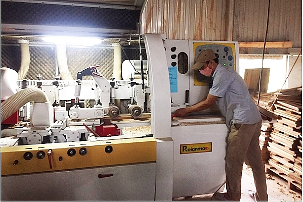 Bình Định: Sức hút từ "vốn mồi" binh dinh suc hut tu von moi