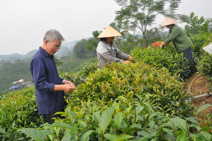 Thái Nguyên: Ưu tiên vốn đầu tư thiết bị thai nguyen uu tien von dau tu thiet bi