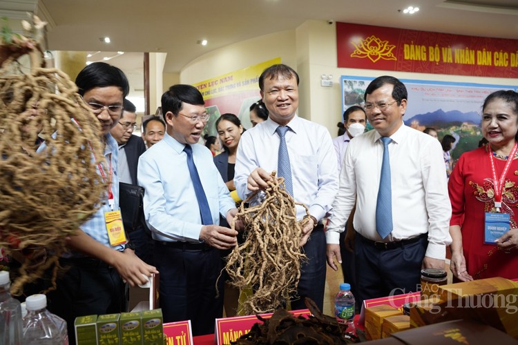 Vải thiều Bắc Giang rộng đường xuất khẩu Vải thiều Bắc Giang rộng đường xuất khẩu