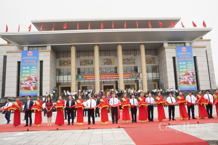Vải thiều Bắc Giang rộng đường xuất khẩu Vải thiều Bắc Giang rộng đường xuất khẩu