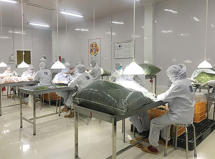 lam dong dien mao moi cua cong nghiep nong thon