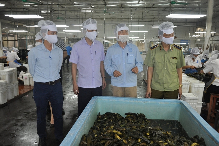 1708 anh bai tren kiem tra bao dam attp tai doanh nghiep dia ban tinh hoa binh