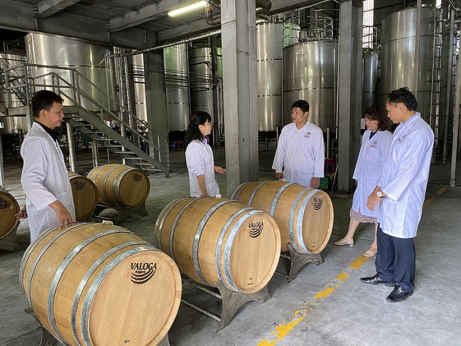 undefined 1710 nha may san xuat ruou cong ty aroma