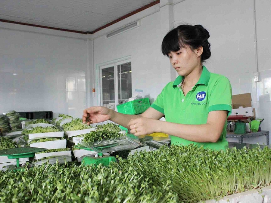 undefined 1453-anh-bai-tren-an-toan-thu-pham