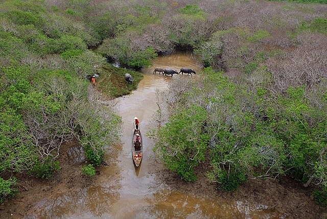 rung ngap man bao ve cuoc song giam thieu tac dong cua bien doi khi hau
