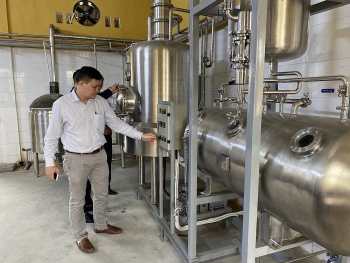 Tách chiết axit chlorogenic từ hạt cà phê xanh: Nguồn nguyên liệu tiềm năng