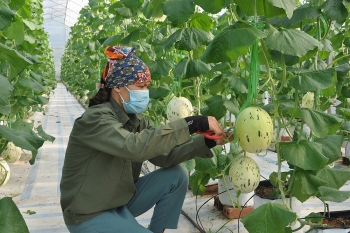 Kỳ I: Vì sao Quảng Ninh chọn OCOP?