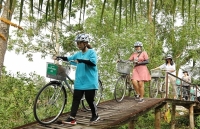 Cụm liên kết du lịch Đồng bằng sông Cửu Long: Định hình cách làm mới