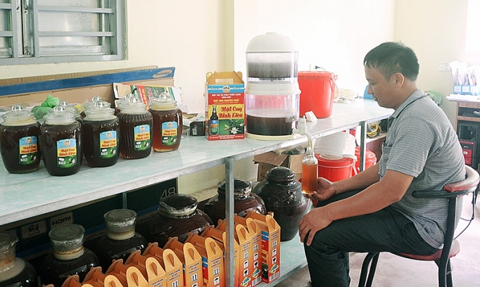 hoi nong dan tinh quang ninh lua chon nong san dac trung