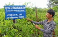 Huyện Hoành Bồ (Quảng Ninh): Nâng cao chất lượng sản phẩm