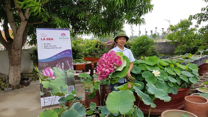 ve que khoi nghiep cung hoa sen