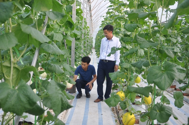 Kỳ II: Đưa sản phẩm "từ làng ra phố"