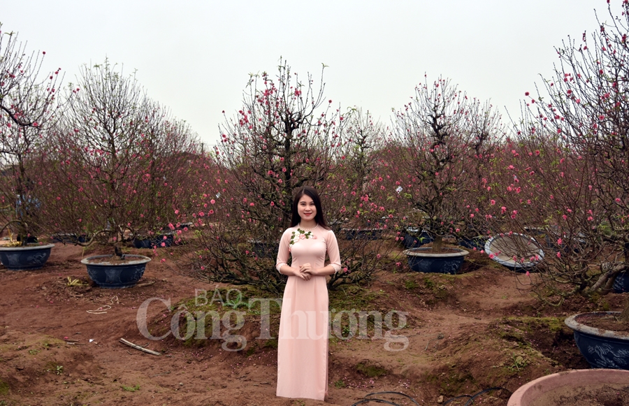 ruc ro sac dao quat nhung ngay giap tet