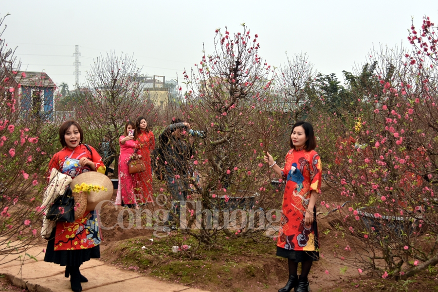 ruc ro sac dao quat nhung ngay giap tet