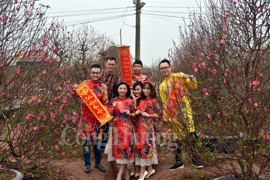 ruc ro sac dao quat nhung ngay giap tet