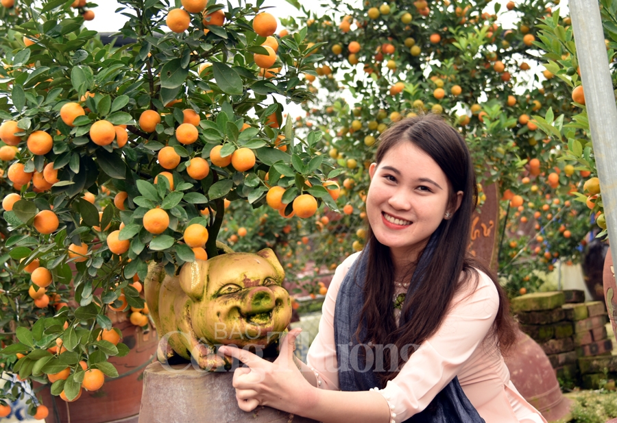 ruc ro sac dao quat nhung ngay giap tet