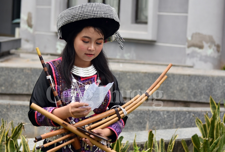 sac mau van hoa tet mong xuong pho