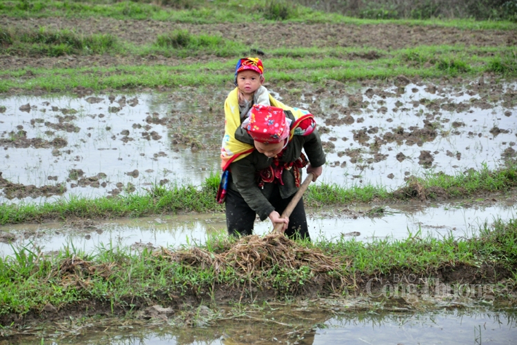 xuan cung tre em vung cao