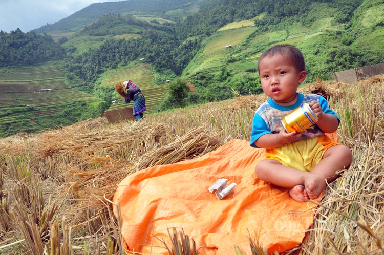 xuan cung tre em vung cao