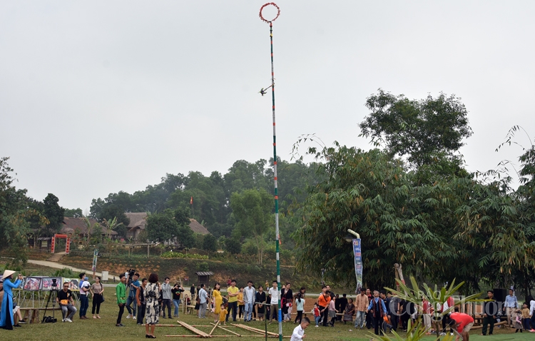 du xuan cung ngoi nha chung
