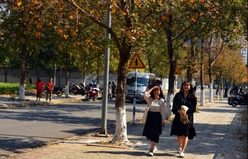 Hà Nội rực sắc phong lá đỏ