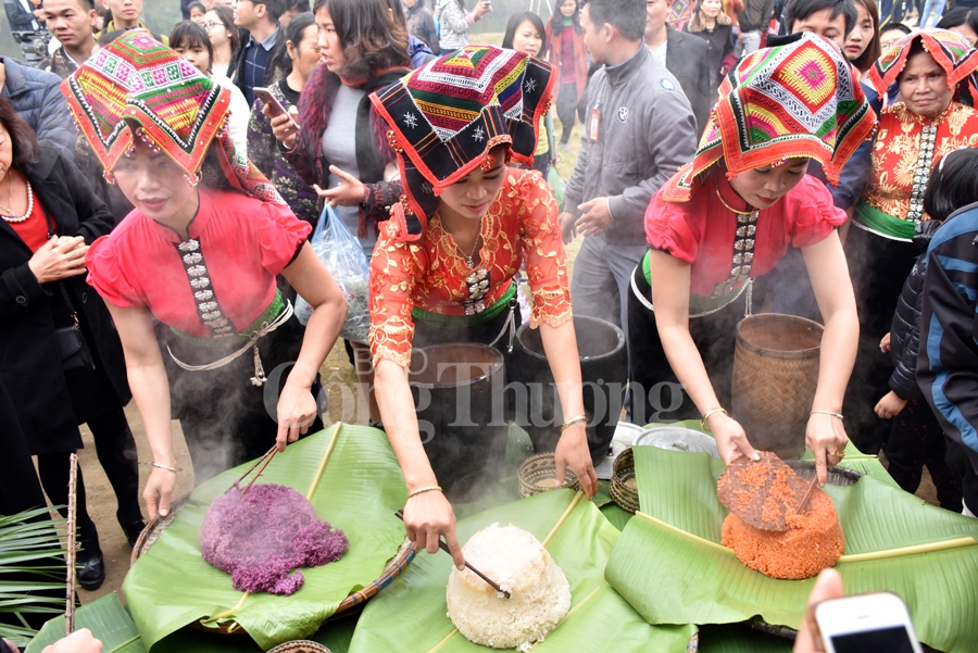 sac xuan tren moi mien to quoc nam 2019
