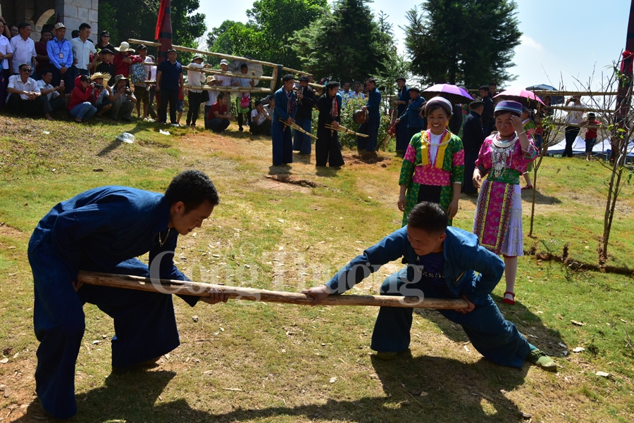sac xuan tren moi mien to quoc nam 2019