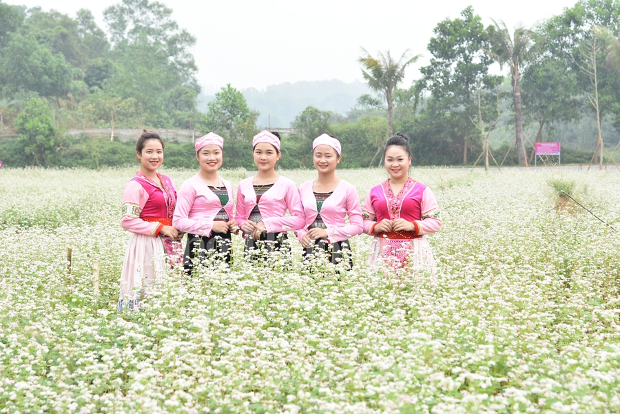 sac xuan them xuan cung hoa tam giac mach