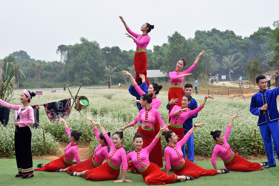 sac xuan them xuan cung hoa tam giac mach