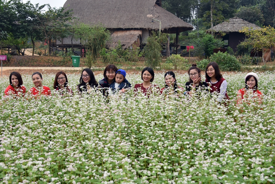 sac xuan them xuan cung hoa tam giac mach