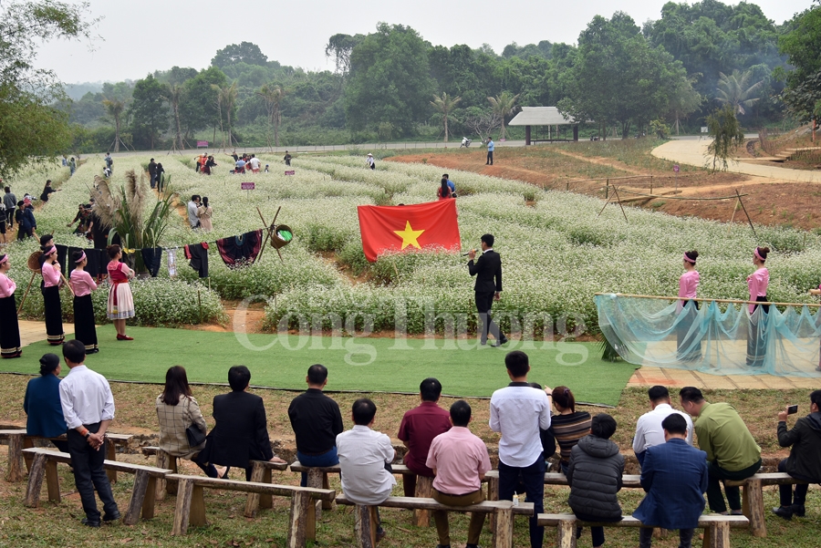 sac xuan them xuan cung hoa tam giac mach