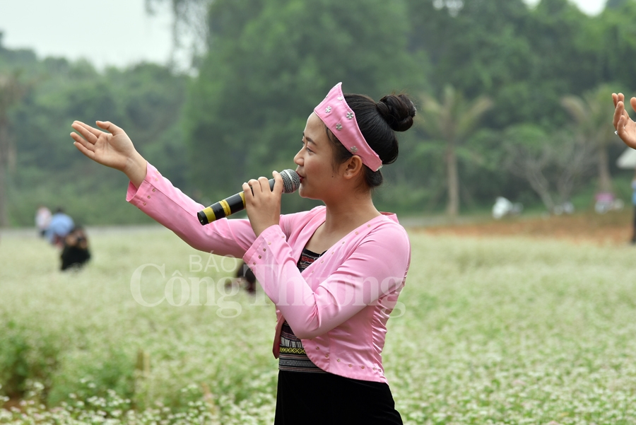 sac xuan them xuan cung hoa tam giac mach