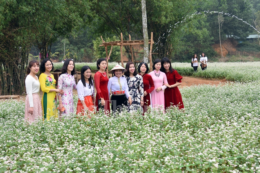 sac xuan them xuan cung hoa tam giac mach