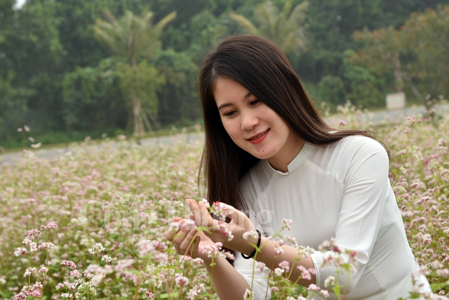 sac xuan them xuan cung hoa tam giac mach