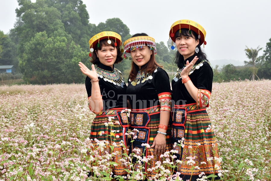 sac xuan them xuan cung hoa tam giac mach