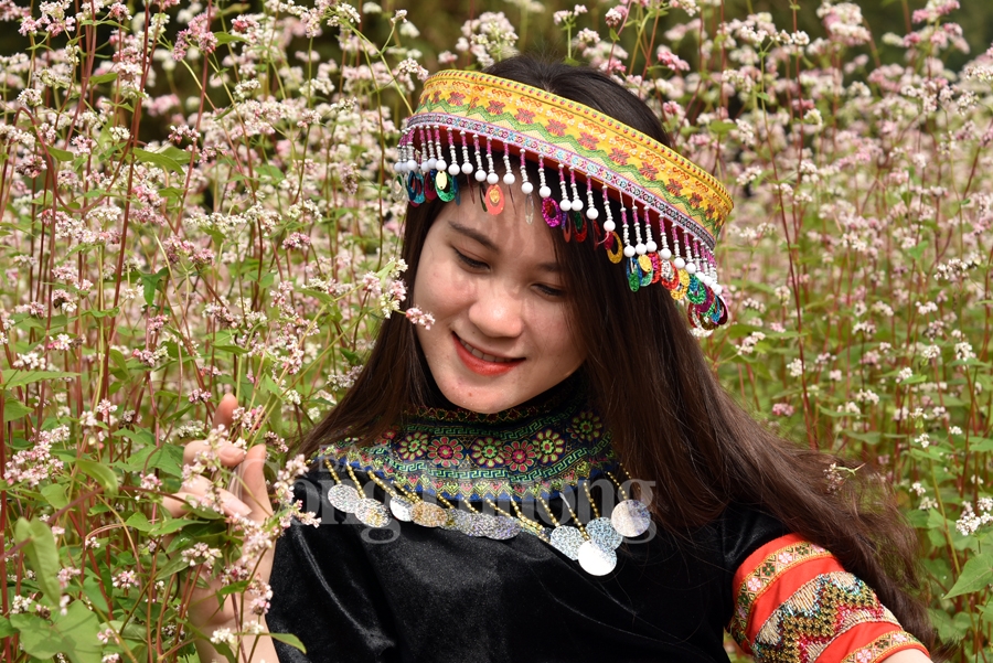 sac xuan them xuan cung hoa tam giac mach