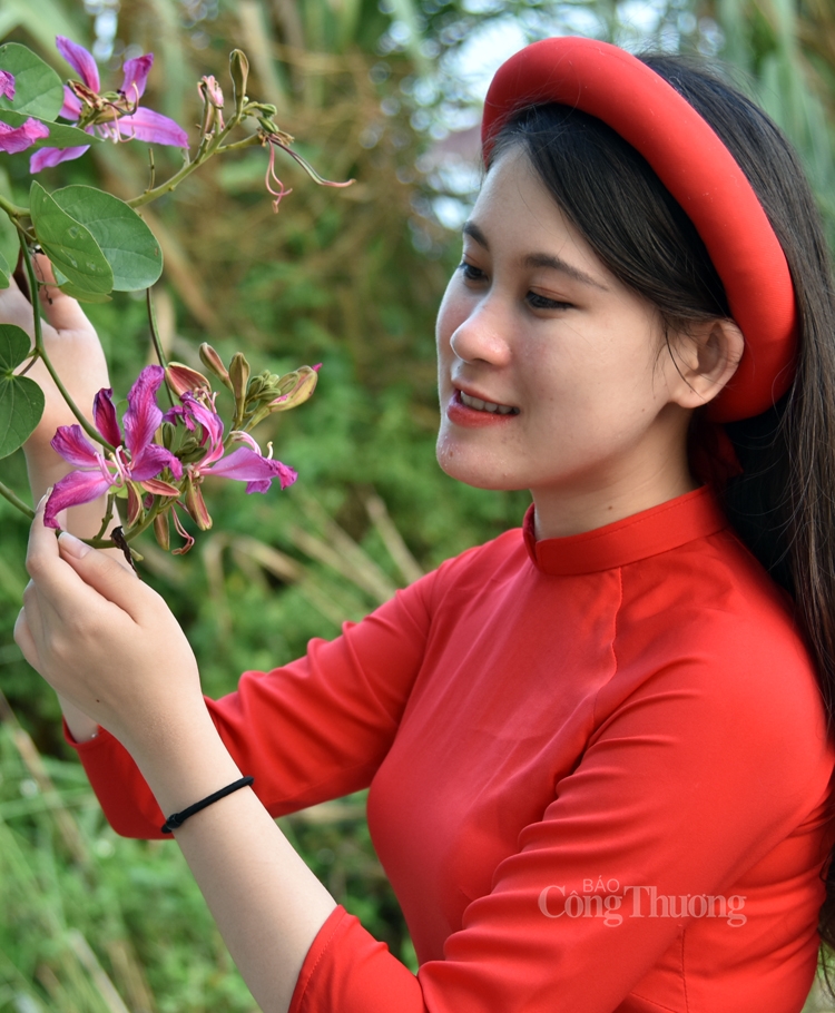 ruc sac hoa ban bung toa giua long ha noi