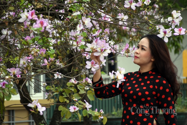 ruc sac hoa ban bung toa giua long ha noi