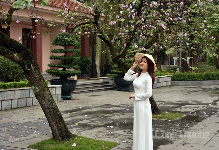 ruc sac hoa ban bung toa giua long ha noi