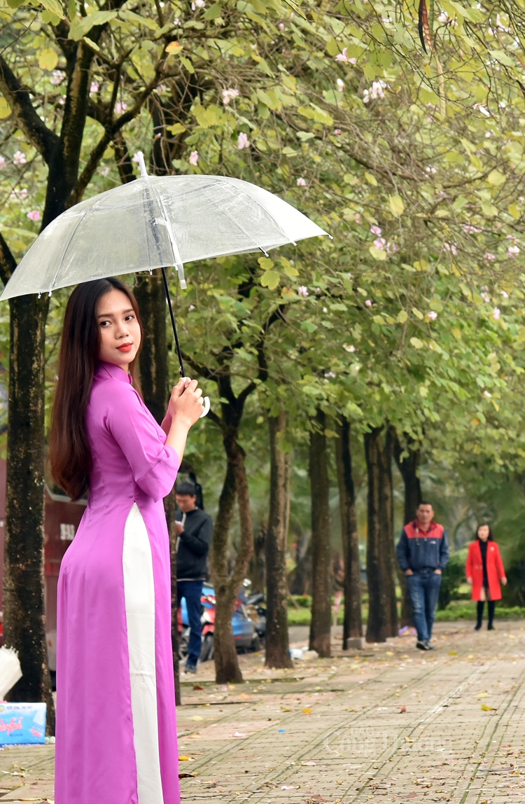 ruc sac hoa ban bung toa giua long ha noi