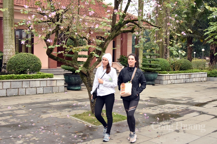 ruc sac hoa ban bung toa giua long ha noi