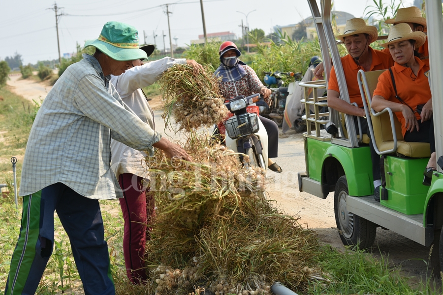 nang tam cho toi ly son