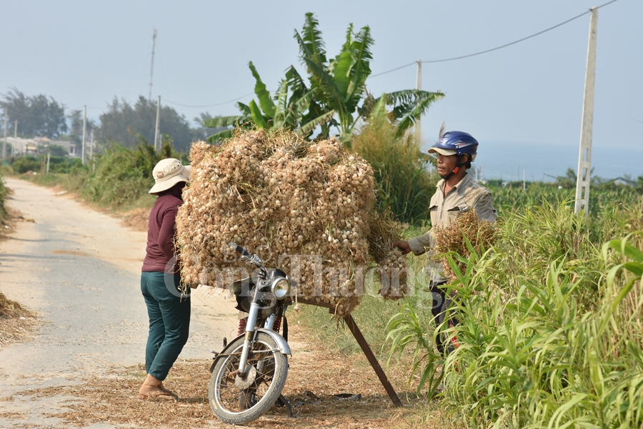 nang tam cho toi ly son