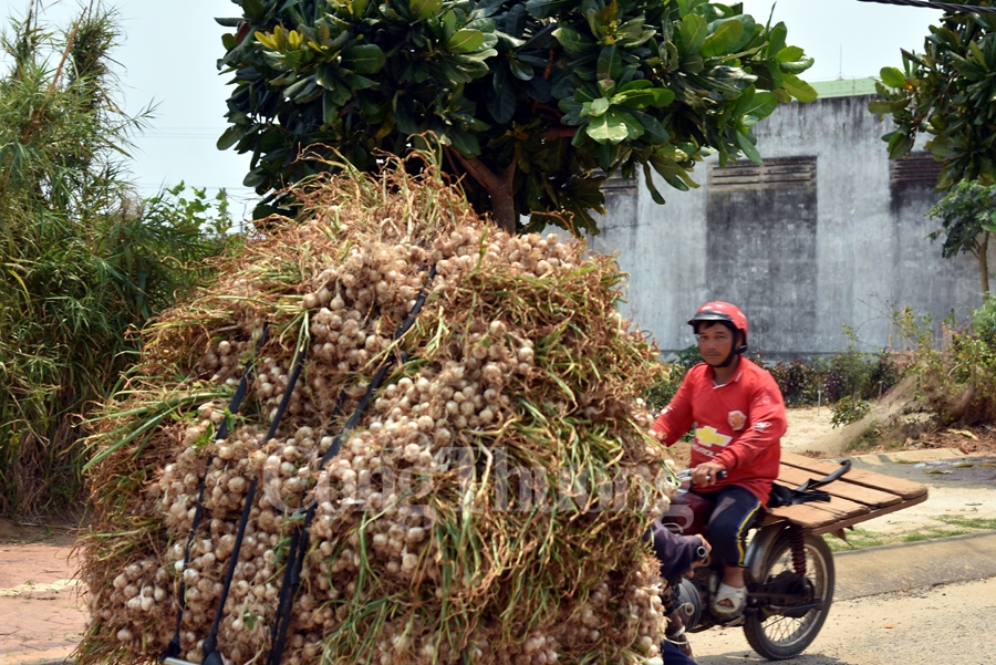 nang tam cho toi ly son