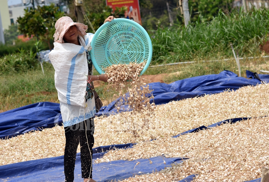 nang tam cho toi ly son