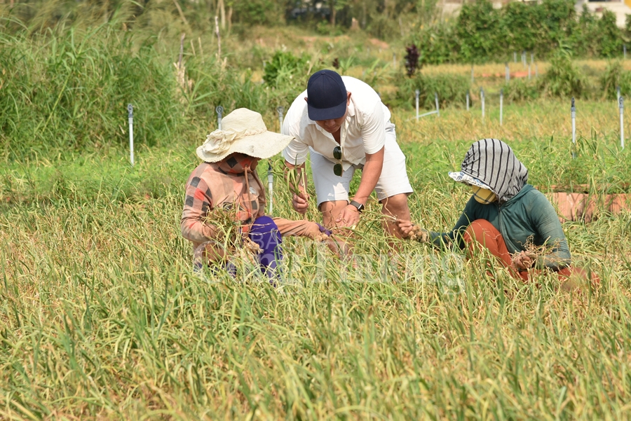 kham pha tiem nang du lich dao ly son