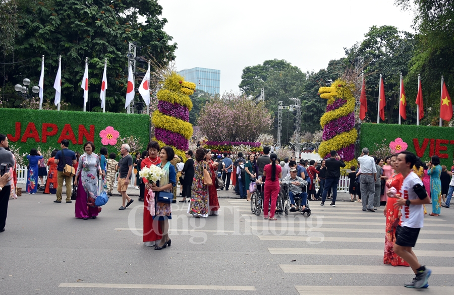 hap dan le hoi hoa anh dao nhat ban ha noi 2019